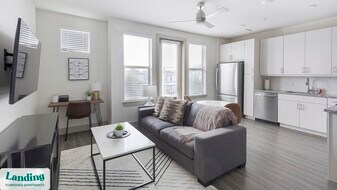 3383 Cedarplaza Ln in Dallas, TX - Building Photo