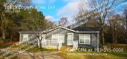 10615 County Rd 149 in Flint, TX - Building Photo - Building Photo