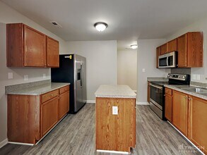 4406 Cochran Farm Ln in Charlotte, NC - Building Photo - Building Photo