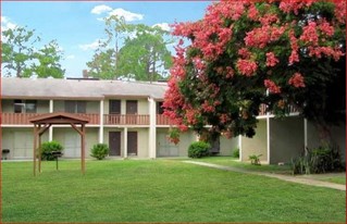 Alux on University in Jacksonville, FL - Building Photo