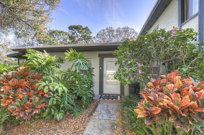 2926 Lichen Ln in Clearwater, FL - Building Photo - Building Photo