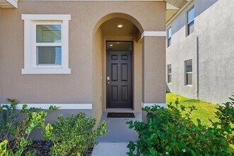 33358 Regent Canal St in Wesley Chapel, FL - Building Photo - Building Photo