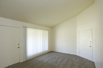 Plaza Square Apartments in San Angelo, TX - Foto de edificio - Interior Photo