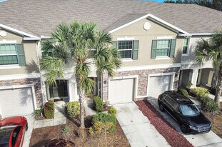 10424 Red Carpet Ct in Riverview, FL - Building Photo
