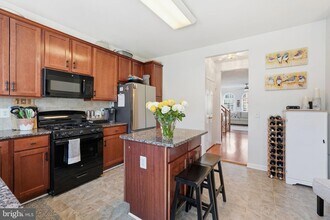 20390 Bass Rocks Terrace in Ashburn, VA - Foto de edificio - Building Photo