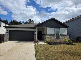 25049 Pomegranate Pl in Montgomery, TX - Building Photo