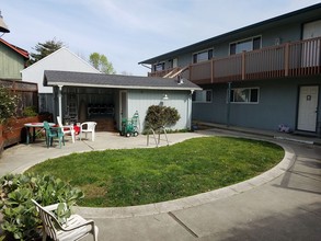 324 Mountain View Ave in Santa Cruz, CA - Building Photo - Building Photo