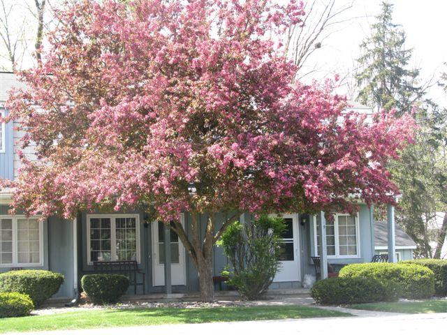 Sandridge Townhomes & Apartments