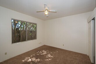 1532 E Painted Colt Loop in Tucson, AZ - Building Photo - Building Photo