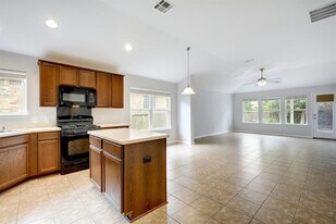 220 Mystic Shadow Ln in Buda, TX - Building Photo