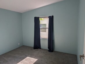 3117 Tree Frog Ln in DeLand, FL - Building Photo - Building Photo