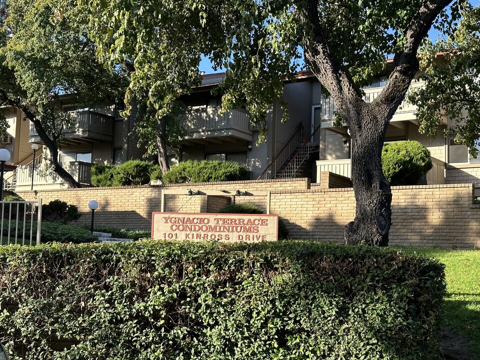 101 Kinross Dr in Walnut Creek, CA - Foto de edificio