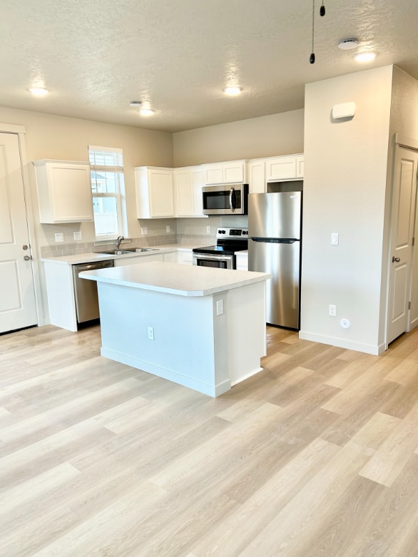 2312 Spice Loop in Nampa, ID - Building Photo - Building Photo