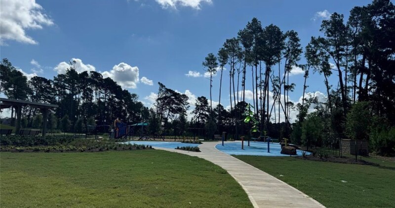 172 Wasatch Peaks Wy in Willis, TX - Building Photo