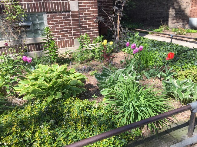 1432 W Jonquil Ter in Chicago, IL - Foto de edificio - Building Photo