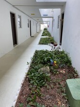 6505 Winfield Blvd in Margate, FL - Foto de edificio - Building Photo