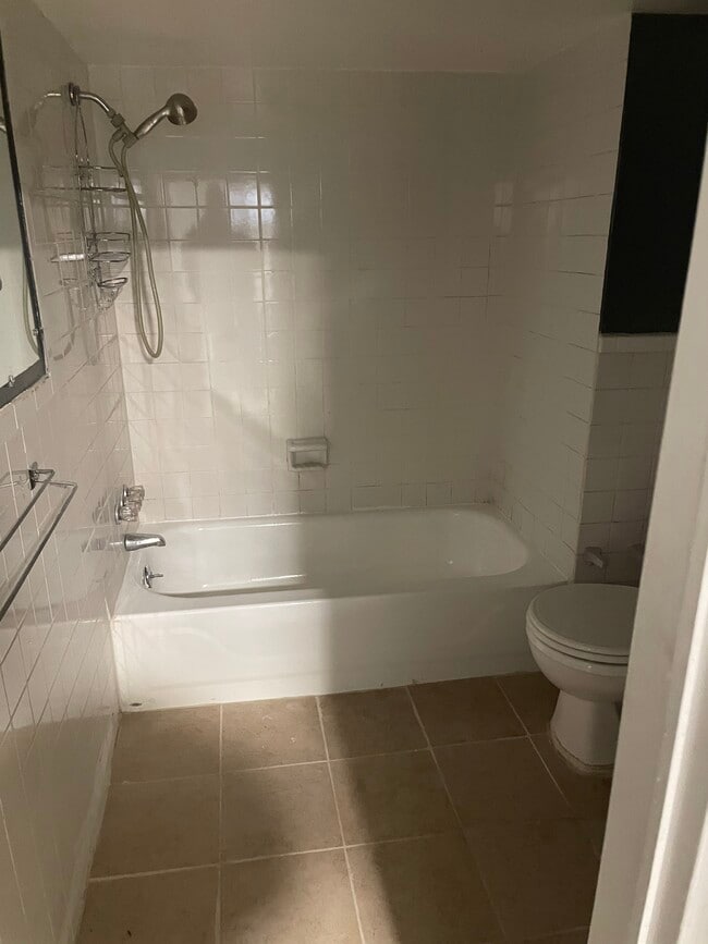 965 E 96th St, Unit Basement