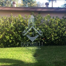 241 Alpine St, Unit 2 in Upland, CA - Building Photo - Building Photo