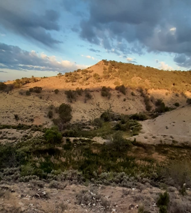 16921 Red Tail Rd in Eckert, CO - Building Photo - Building Photo