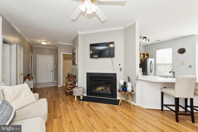 15605 Everglade Ln in Bowie, MD - Building Photo - Building Photo