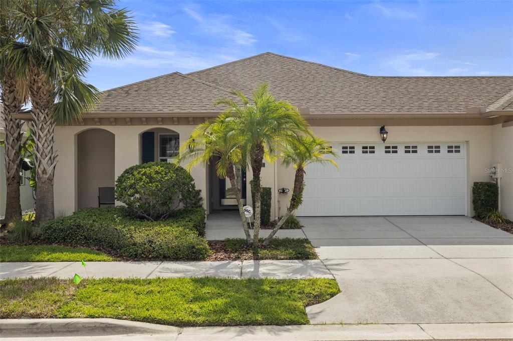 11402 Peckham Pl in Tampa, FL - Building Photo