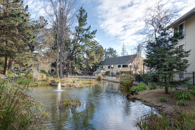 City View in Hayward, CA - Building Photo - Building Photo