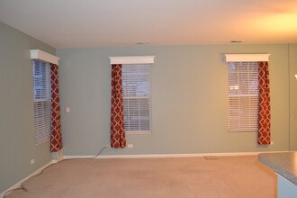 161 Springbrook Trail S in Oswego, IL - Building Photo - Building Photo