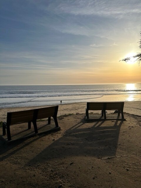 755 14th Ave, Unit 212 in Santa Cruz, CA - Building Photo - Building Photo