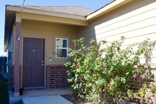 14615 Stirrup Trce in Elmendorf, TX - Building Photo