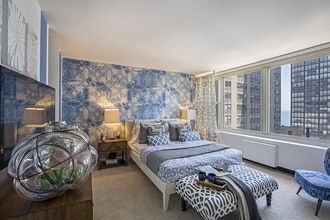 850 N Dewitt Pl in Chicago, IL - Building Photo - Building Photo