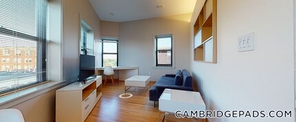 115 Mt Auburn St in Cambridge, MA - Building Photo - Building Photo