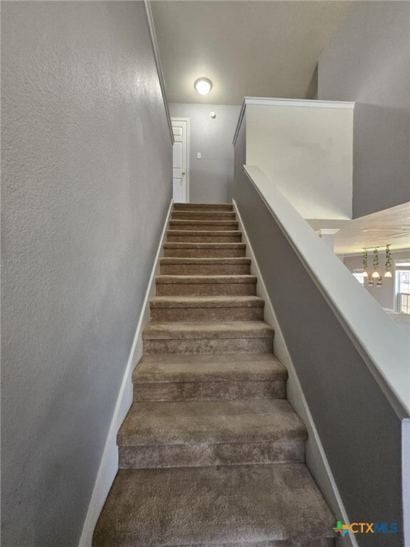 property at 701 Black Hills Trail