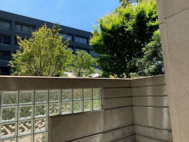 300 3rd St, Unit # 309 in San Francisco, CA - Foto de edificio - Building Photo