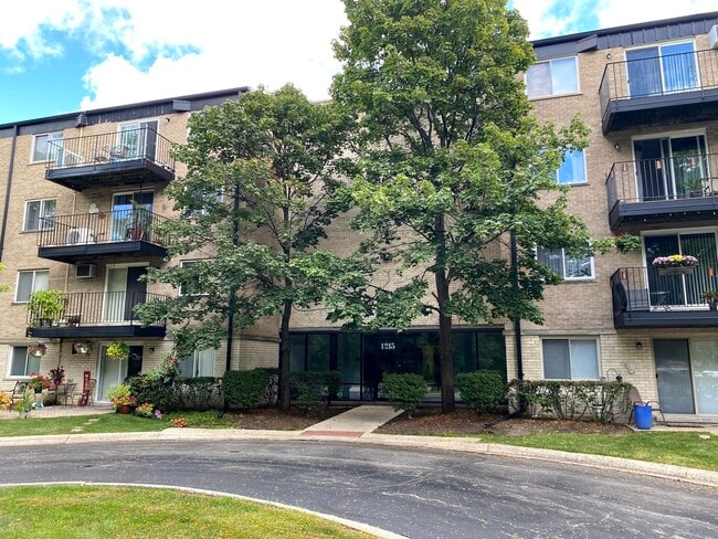 property at 1215 N Waterman Ave