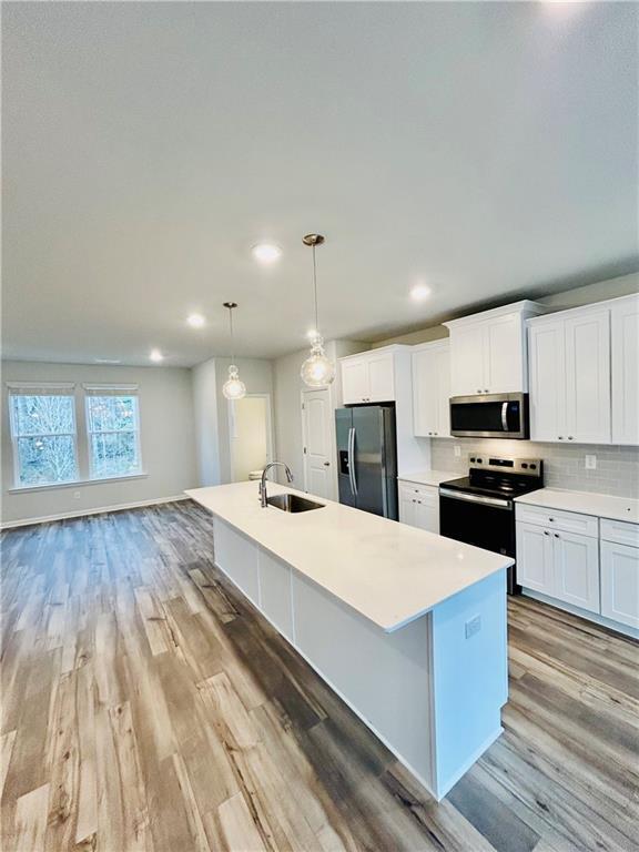 153 Werner Brk Wy SW