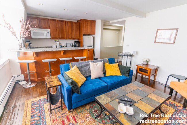 61 West Cedar St, Unit 3 in Boston, MA - Building Photo - Building Photo