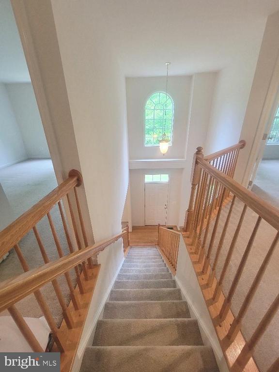 440 Reedy Creek Rd in Louisa, VA - Building Photo - Building Photo