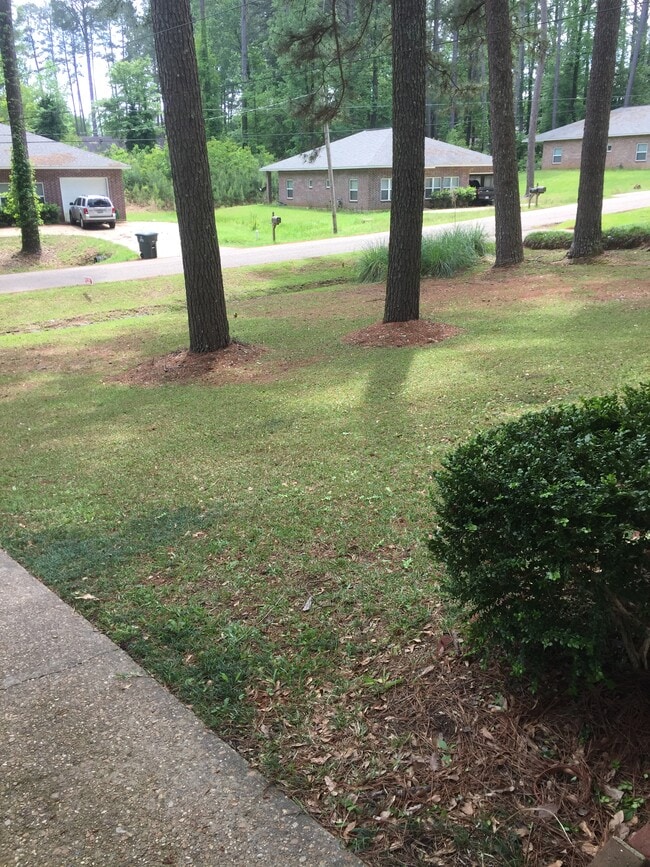 1100 Glenwood Dr in Ruston, LA - Foto de edificio - Building Photo