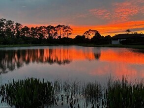 1613 Vizcaya Ln in Naples, FL - Building Photo - Building Photo