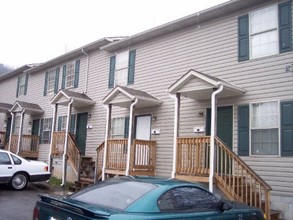 251 Chickamauga Ave in Knoxville, TN - Building Photo - Building Photo