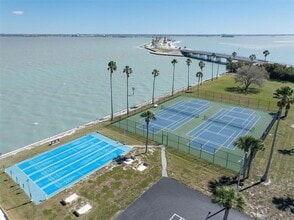 8 Glencoe Pl in Dunedin, FL - Building Photo - Building Photo