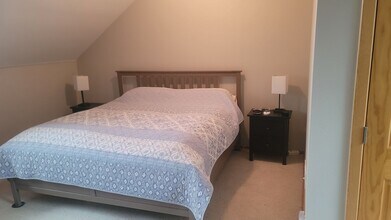 121 Cydney Ln in Silverthorne, CO - Building Photo - Building Photo