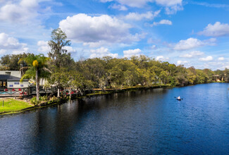 Rivertree Landing in Tampa, FL - Building Photo - Building Photo