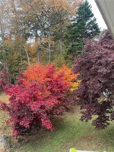 156 Plantation Trce in Woodstock, GA - Building Photo - Building Photo