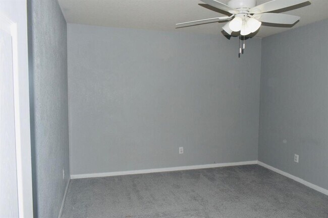 28923 Birch Green Way in Spring, TX - Building Photo - Building Photo