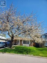 71 Grassington Crescent in Brampton, ON - Building Photo