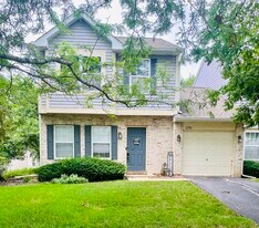 1250 N Split Oak Cir in Round Lake Beach, IL - Building Photo