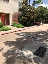 2438 Bering Dr in Houston, TX - Building Photo