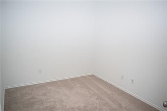 409 English Oak St in Georgetown, TX - Building Photo - Building Photo