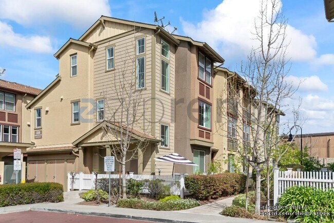 property at 238 Peppermint Tree Terrace